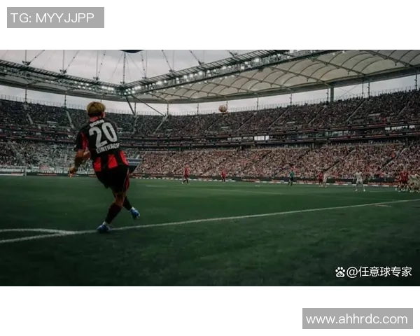 法兰克福德甲表现稳定，成为劲旅