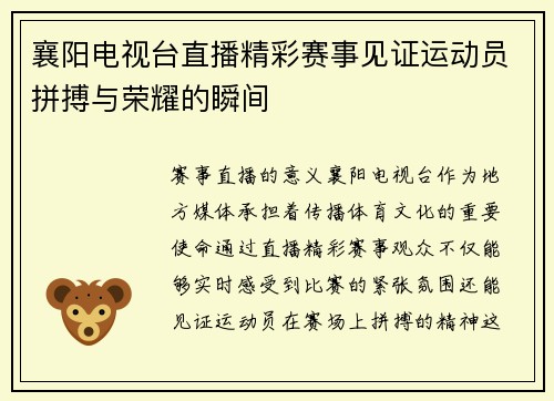襄阳电视台直播精彩赛事见证运动员拼搏与荣耀的瞬间